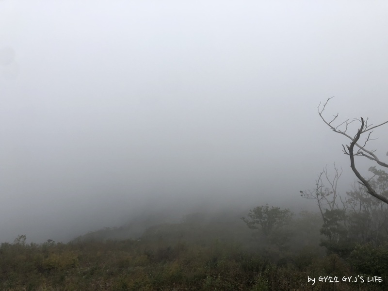IMG_0016.JPEG